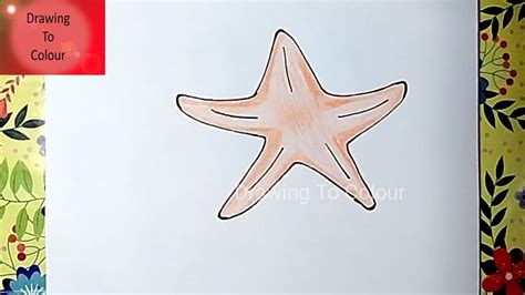 How to DRAW a STARFISH Easy Step by Step .